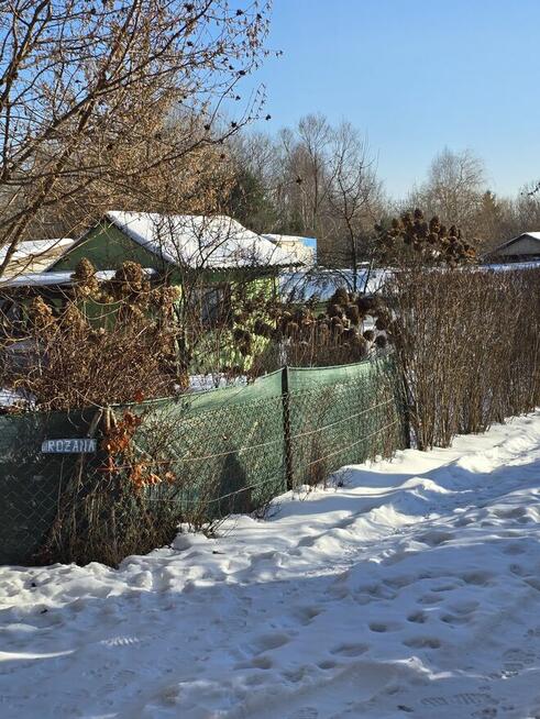 Działka rekreacyjna na granicy Targówka I Ząbek