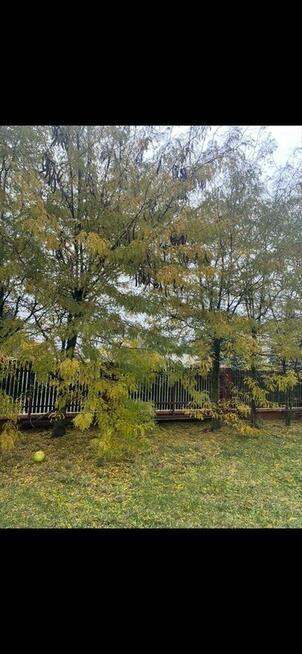 Działka budowlana 761 m² w świetnej lokalizacji