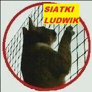 Montaż siatki na balkonie, oknie dla kotka przeciw ptakom