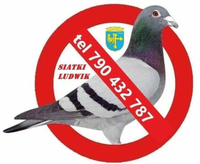 siatka dla kota na taras, balkon okna