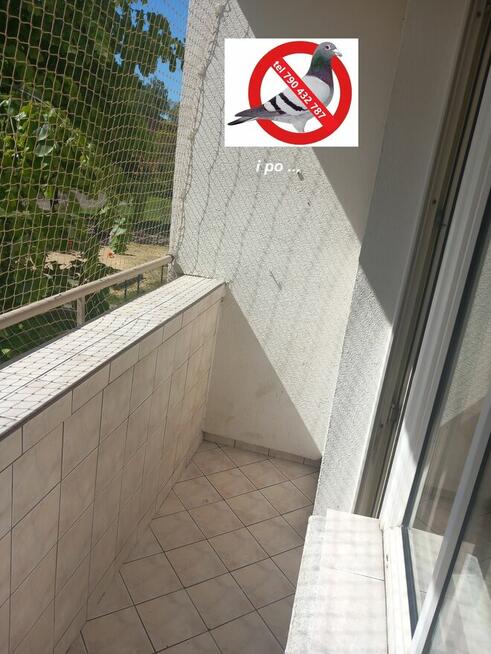 Czyszczenie sprzątanie po gołębiach