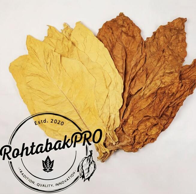 Liscie Virginia Burley KARTON - lisc tytoniu TONGA BUŁGARIA