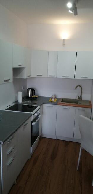 Kawalerka do wynajęcia