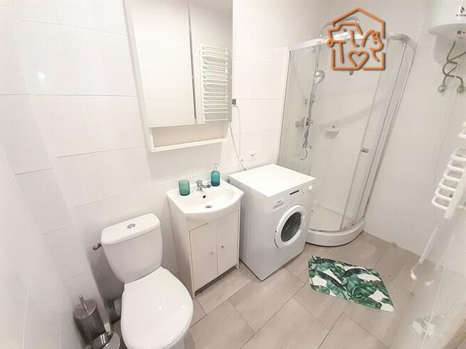 Do wynajęcia kawalerka pet friendly, Wielka 12