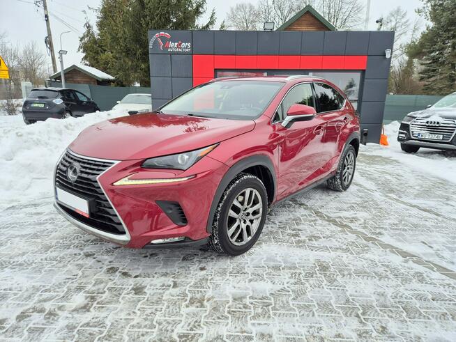 Lexus NX Bezwypadkowy