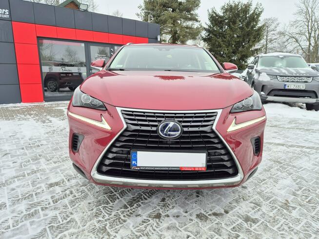 Lexus NX Bezwypadkowy