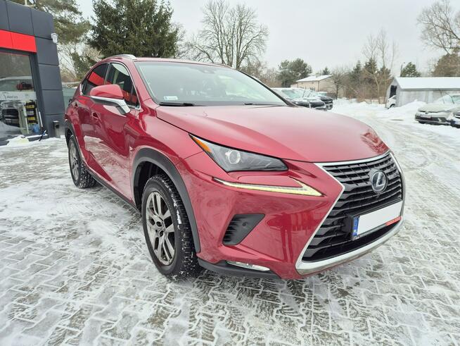 Lexus NX Bezwypadkowy