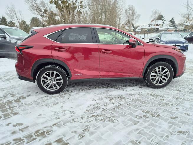 Lexus NX Bezwypadkowy