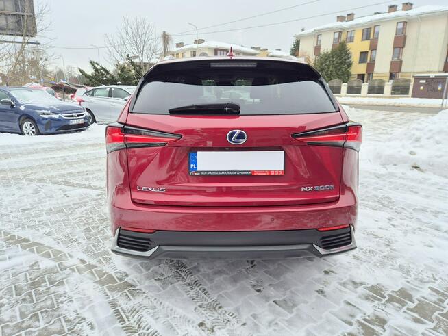 Lexus NX Bezwypadkowy