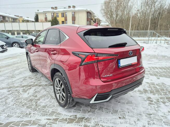 Lexus NX Bezwypadkowy