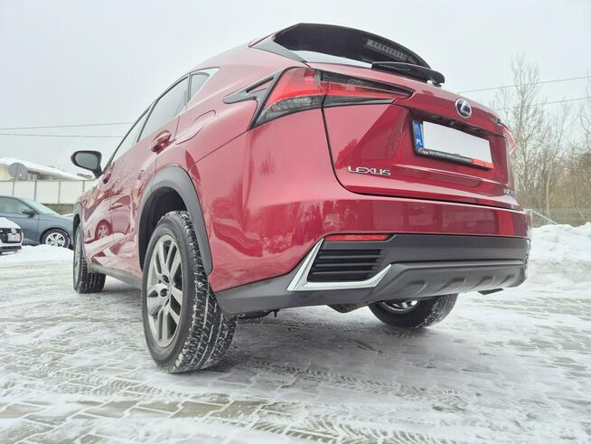 Lexus NX Bezwypadkowy