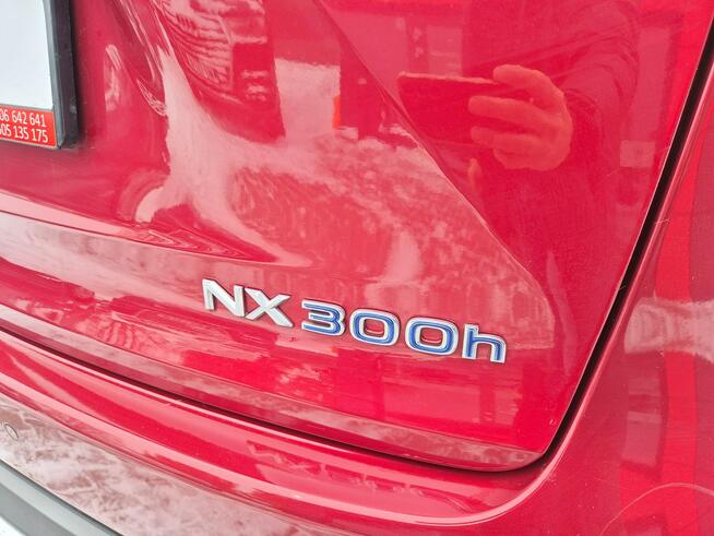 Lexus NX Bezwypadkowy