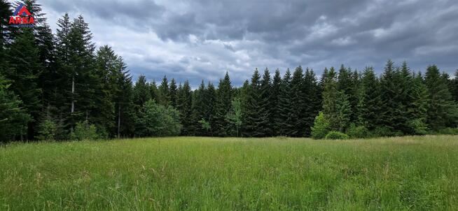 Działka rolna Skawa gm. Raba Wyżna