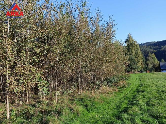 Działka budowlana Tarnawa gm. Łapanów