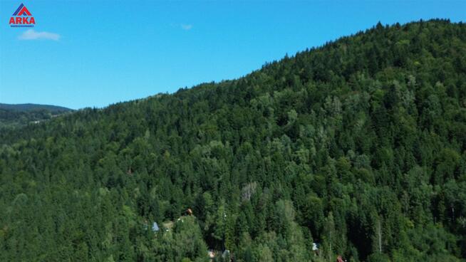 Działka leśna Szczawa