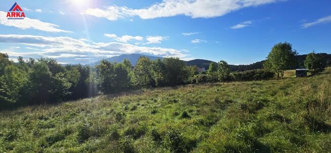 Działka leśna Wola Skrzydlańska gm. Dobra