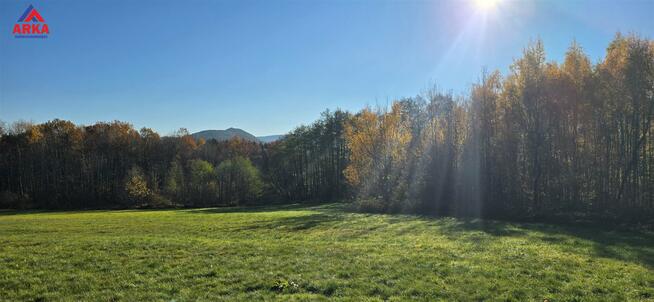 Działka budowlana Przenosza gm. Dobra