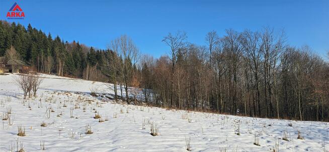 Działka budowlana Wola Skrzydlańska gm. Dobra