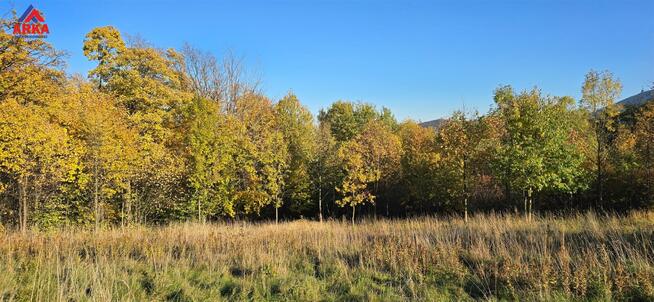 Działka budowlana Wola Skrzydlańska gm. Dobra