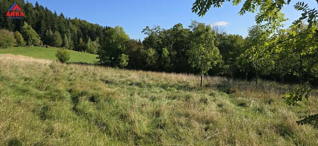 Działka budowlana Wola Skrzydlańska gm. Dobra