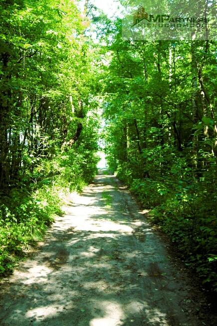 7810m2/działka bud. 4965m2/2845m2LAS