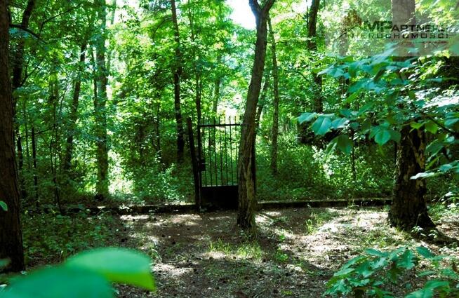 7810m2/działka bud. 4965m2/2845m2LAS