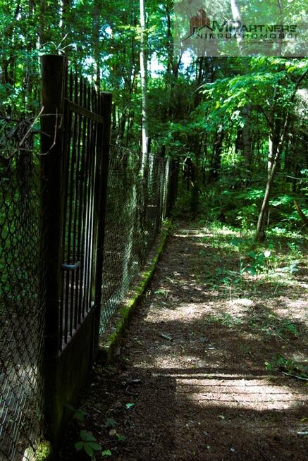 7810m2/działka bud. 4965m2/2845m2LAS