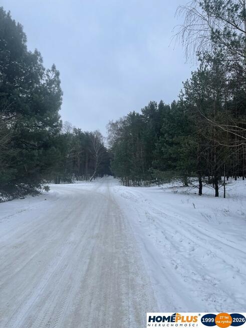 2500 m², domek, las, blisko Zalewu Zegrzyńskiego.