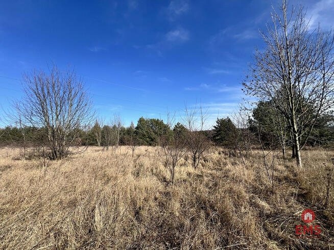 Dom Nowe Aleksandrowo gm. Dobrzyniewo Duże,