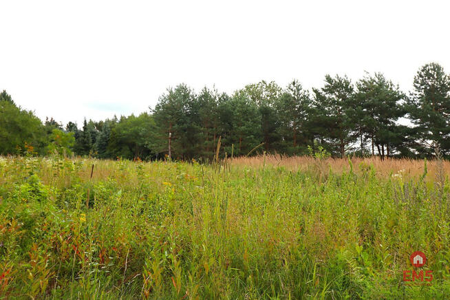 Działka inwestycyjna Suwałki Białorogi,