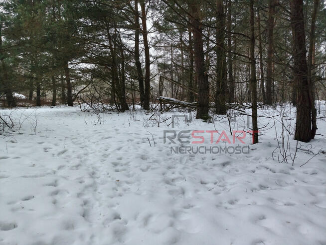Działka rekreacyjna Siestrzeń gm. Żabia Wola,