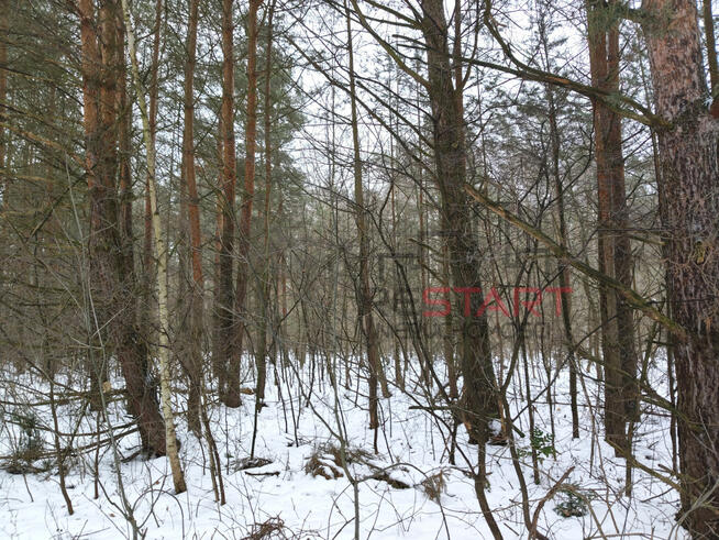 Działka rekreacyjna Siestrzeń gm. Żabia Wola,