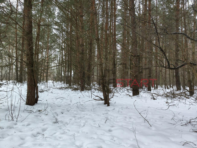 Działka rekreacyjna Siestrzeń gm. Żabia Wola,
