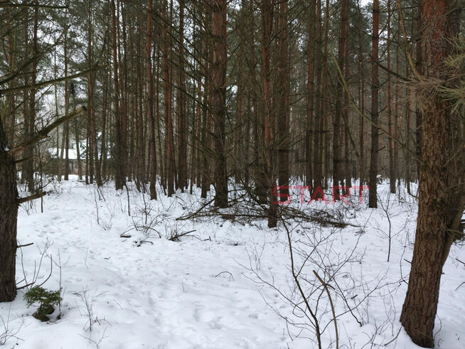 Działka rekreacyjna Siestrzeń gm. Żabia Wola,