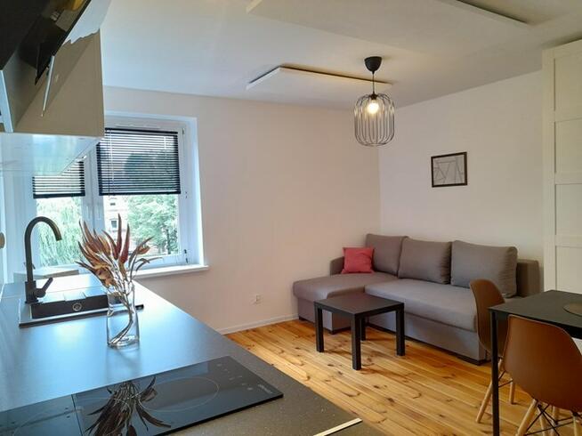 Studio przyjazne dla zwierząt, Tomasza 5