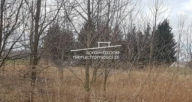 Działka budowlana Terenia gm. Brwinów, ul. Pieczarkowa róg Borowikowej