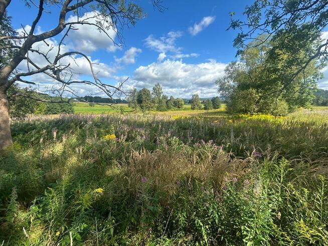 Działka siedliskowa Łomnica gm. Mysłakowice, Karpnicka