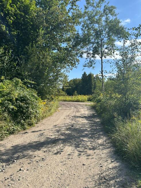 Działka siedliskowa Łomnica gm. Mysłakowice, Karpnicka