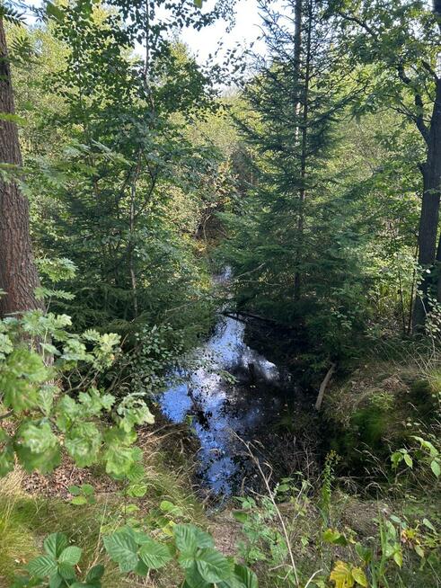 Działka siedliskowa Łomnica gm. Mysłakowice, Karpnicka