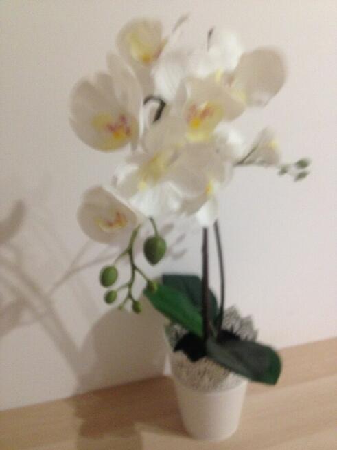 Pokoj jednososobowy pod wynajem niedaleko Ikea z parkingiem