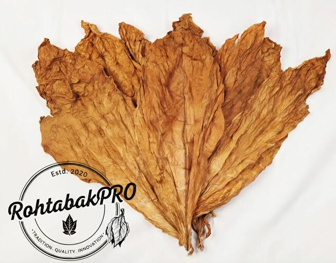 Liscie Virginia Burley KARTON - lisc tytoniu TONGA BUŁGARIA