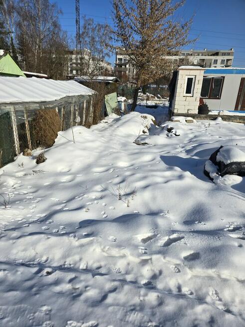 Działka rekreacyjna na granicy Targówka I Ząbek