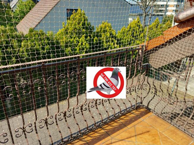 siatka dla kota na taras, balkon okna