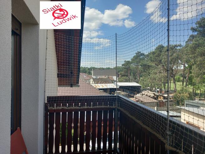 Montaż siatki na balkonie, oknie dla kotka przeciw ptakom