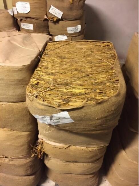 Liscie Virginia Burley KARTON - lisc tytoniu TONGA BUŁGARIA