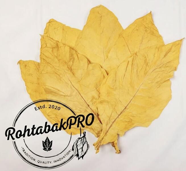 Liscie Virginia Burley KARTON - lisc tytoniu TONGA BUŁGARIA