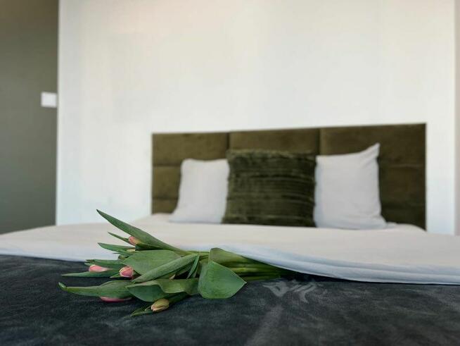 Kawalerka nova mikołowska