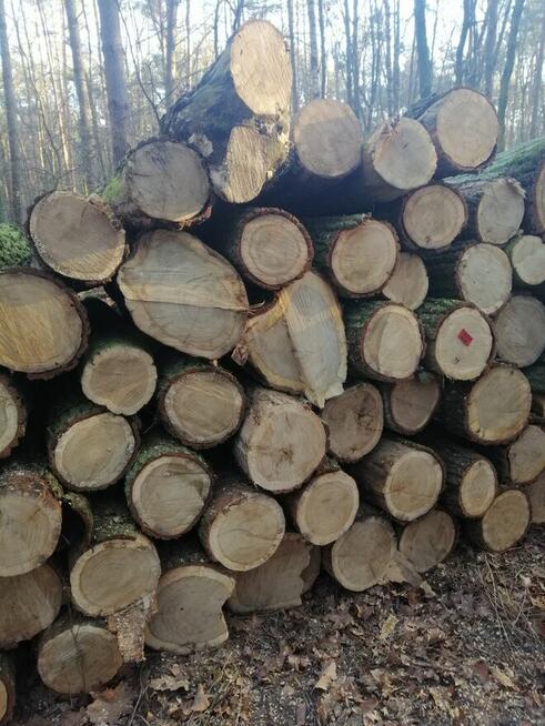 Suche drewno opałowe RÓŻNE! Możliwy transport