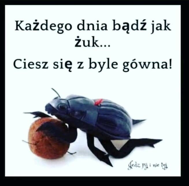 Natychmiastowe zdjęcia do dokumentów