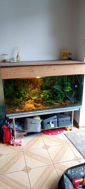 akwarium 350 l z obsadą